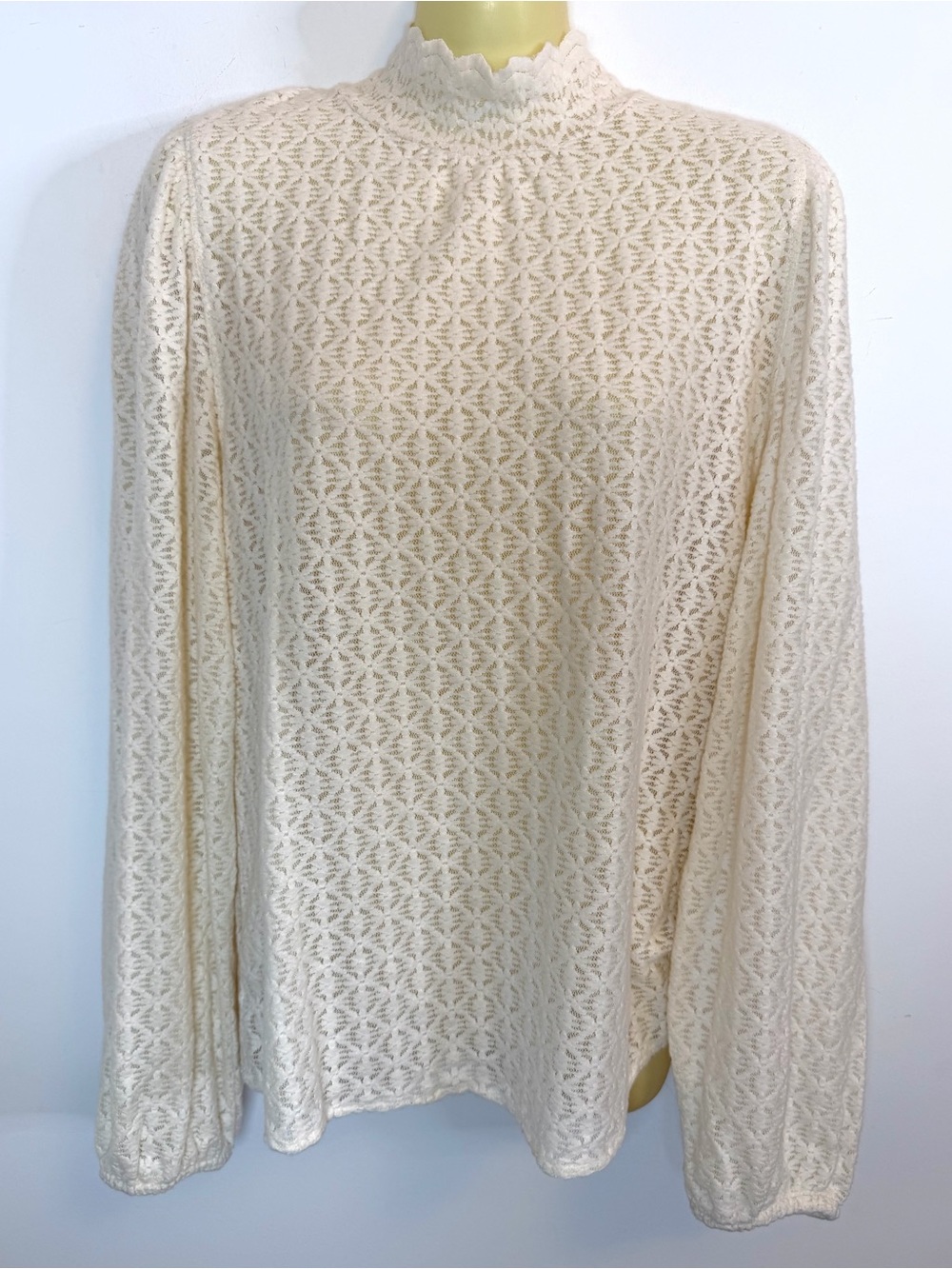 LOFT Lace High-Neck Long Sleeve Embroidered Sheer Top in Cream